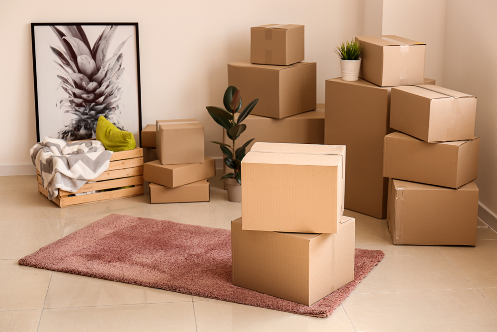 Lettre de congé au locataire d'un logement pour vente du